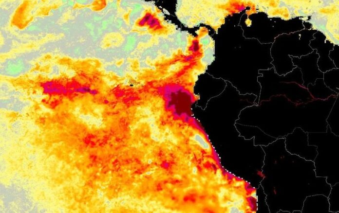 945ykhyaw5lgo3vqizvg02suw(1)