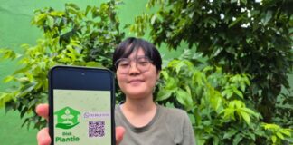 Prefeitura de Manaus lança serviço para população solicitar plantio de mudas na frente de seus imóveis