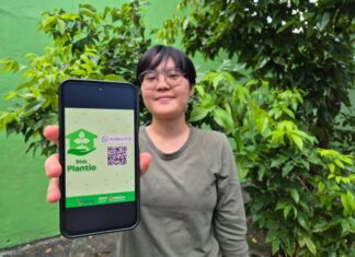 Prefeitura de Manaus lança serviço para população solicitar plantio de mudas na frente de seus imóveis