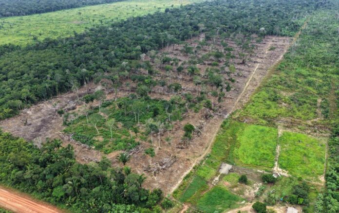 Ipaam_Área desmatada em Humaitá_Crédito da foto 5 - Divulgação-Ipaam - 06-03-2026(1)