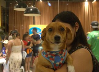 Sepet leva castração, vacinação e adoção de animais ao bairro Jorge Teixeira, dia 28 de março