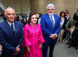 Ferramenta de padronização de auditorias entra em operação no TCE-AM