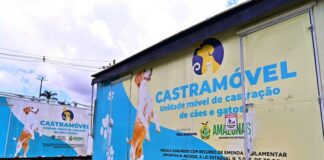 Ação de adoção e vacinação de pets movimenta o Shopping Ponta Negra neste sábado (21)