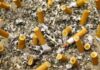 Bitucas de cigarro são o lixo mais comum do planeta, mostra estudo