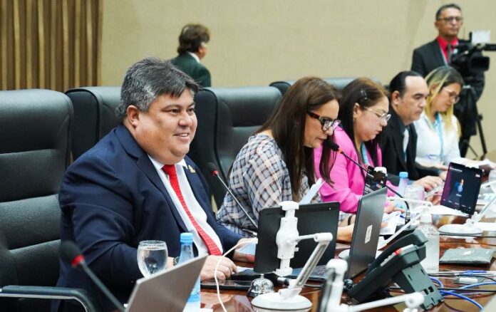 Câmara Municipal de Manaus debate câmeras em vans escolares e app ‘SOS Mulher’ (1)(1)