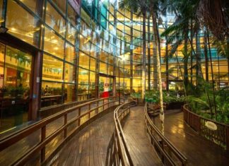 Com sorteio de TV de 98 polegadas, Manauara celebra aniversário do Programa de Benefícios