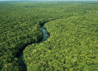 Governo anuncia R$ 209 milhões para combate ao crime organizado na Amazônia