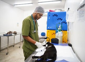 HPVet-AM alcança mais de 33 mil animais atendidos e reforça importância da saúde animal no Amazonas