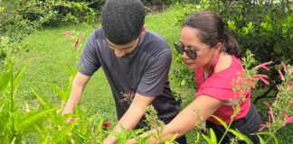 Projeto sobre plantas medicinais alia saber tradicional e ciência em Itacoatiara
