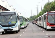 Prefeitura garante que paralisação do transporte público em Manaus foi suspensa