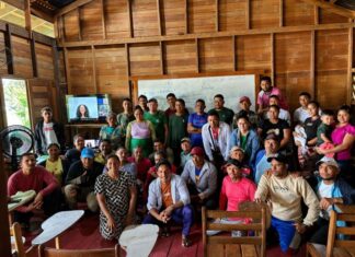 Energia solar fortalece educação de jovens e adultos em uma das regiões mais isoladas do Amazonas