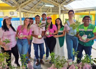 Prefeitura distribuiu mais de 10 mil mudas no primeiro quadrimestre de 2026 por meio do programa ‘Manaus Verde’