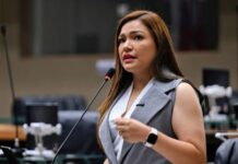 Aprovado projeto de Joana Darc que fortalece proteção das nascentes e recursos hídricos no Amazonas