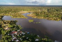 Atuação em defesa da Amazônia leva FAS a disputar prêmios nacionais