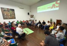 Maior festival de sustentabilidade da América Latina anuncia programação gratuita em Manaus