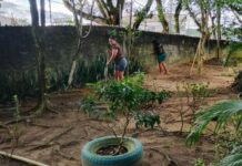 Famílias participam de mutirão e reforçam preservação ambiental em creche da Redenção