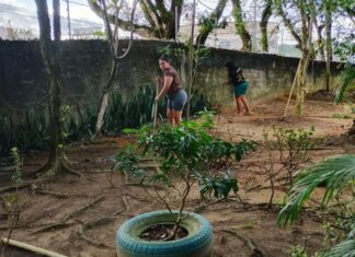 Famílias participam de mutirão e reforçam preservação ambiental em creche da Redenção
