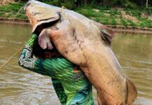 Peixeiro fisga jaú de 68kg e afirma: “Não é história de pescador”