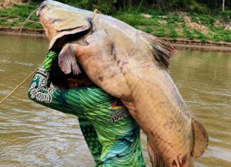Peixeiro fisga jaú de 68kg e afirma: “Não é história de pescador”