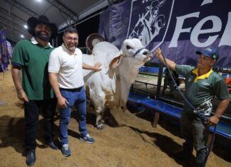 Wilson Lima retomou a Expoagro, que movimentou R$ 891 milhões em negócios entre 2019 e 2025