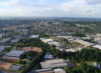 Manaus se reinventa na era digital: como a capital amazonense se torna polo de empregos em IA