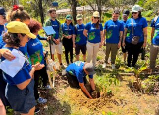 Programa Carbono Neutro celebra 15 anos com mais de 77 mil mudas plantadas na Amazônia