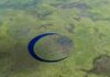 ‘El Ojo’: como é a ilha misteriosa no Rio Paraná que gira sozinha