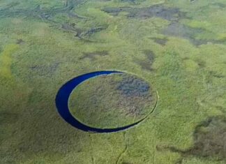 ‘El Ojo’: como é a ilha misteriosa no Rio Paraná que gira sozinha