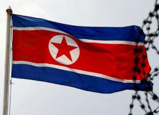 Coreia do Norte sugere sopa de carne de cachorro para combater calor recorde