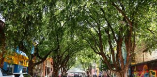 Projeto da ‘Rua Gastronômica’ preservará árvores e valorizará corredor verde no centro de Manaus