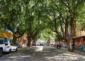 Projeto da ‘Rua Gastronômica’ preservará árvores e valorizará corredor verde no centro de Manaus