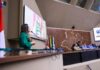 Aleam aprova leis ambientais para combater o tráfico de madeira e enfrentar eventos climáticos extremos
