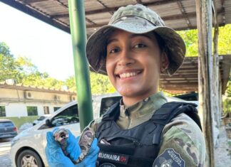Patrulhamento Ambiental realiza quatro resgates de animais silvestres na capital