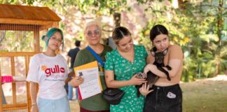 Após anos de espera, animais resgatados encontram um novo lar em feira de adoção no Manauara Shopping