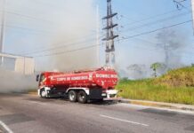 Incêndios florestais aumentam 324% em Manaus, e Âmbar Energia orienta população durante estiagem