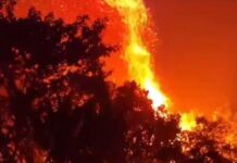 Amom Mandel cobra ação urgente contra incêndios em Caapiranga após receber denúncias de moradores