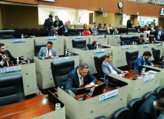 CMM aprova em primeira discussão PL que garante embarque prioritário para gestantes no transporte coletivo