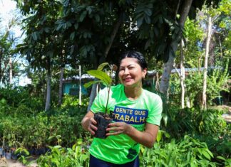 Prefeitura de Manaus celebra Dia da Árvore com recordes de arborização e doação de mudas