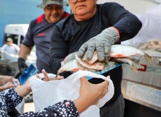 Prefeitura de Manaus garante segurança alimentar para 4 mil famílias do Coroado 2 com programa ‘Jaraqui da Gente’