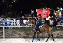 Principal feira do agro do AM chega à 10ª edição com rodeio universitário e atrações inéditas