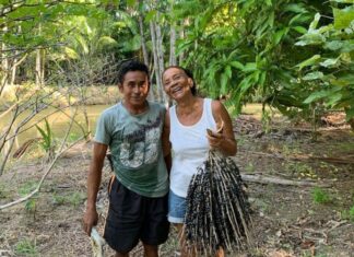 Semana Dudu da Floresta reúne comunidades e especialistas para discutir futuro dos territórios tradicionais no Marajó