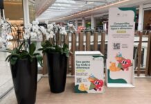 Campanha do Amazonas Shopping arrecada alimentos e água para afetados com a estiagem no interior