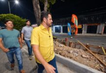 Renato Junior garante permanência de árvores em canteiros centrais e anuncia plantio de novas