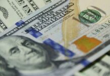 Dólar bate alta histórica e Bolsa aciona circuit breaker