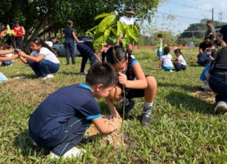 Crianças participam de ação ambiental com plantio de árvores no Smart Gran Park