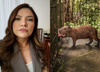 Deputada Joana Darc repudia decisão que determina retorno da capivara Filó ao Cetas do Ibama