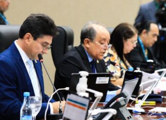 CMM delibera projeto de prevenção à solidão na terceira idade e aprova campanha sobre síndrome alcoólica fetal