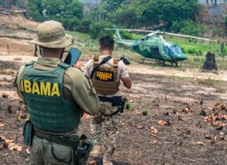 Ibama, Ipaam, Polícia Militar e Corpo de Bombeiros intensificarão ações contra incêndios florestais criminosos