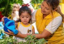 Com matrículas abertas, Pinocchio e Martha Falcão consolidam compromisso histórico com ESG na educação
