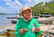 Pescadoras brasileiras ganharão homenagem da ONU
